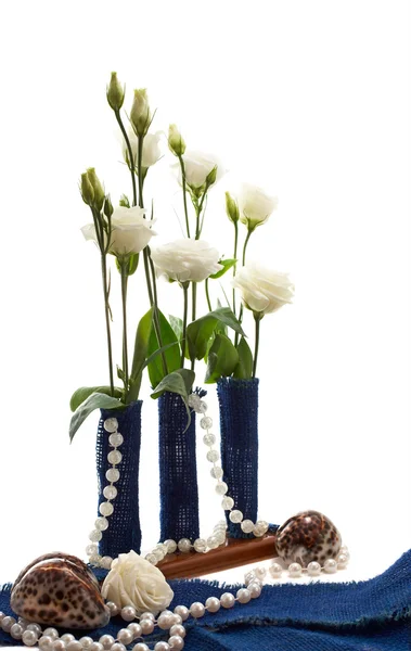 Eustoma flowers with shells isolated — Stock Photo, Image