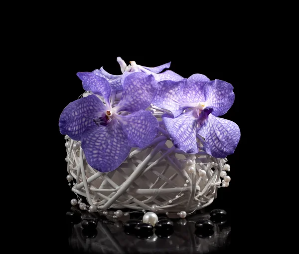 Bouquet di orchidee in vaso — Foto Stock