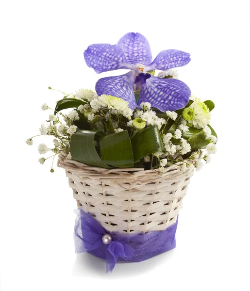 Vanda and chrysantemums flowers isolated — Stock Photo, Image