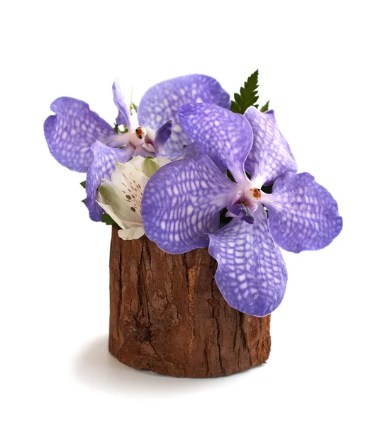 Orchis en vase en bois — Photo