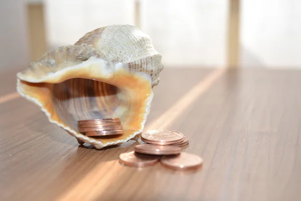 Money and shell — Stock Photo, Image
