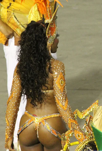 Carnaval do Rio — Fotografia de Stock