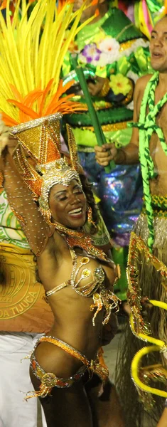 Rio Carnaval lizenzfreie Stockbilder