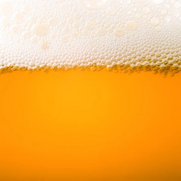 Піна для пива — стокове фото