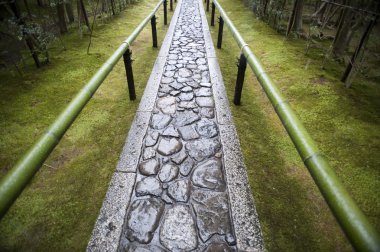 Zen Tapınağı yolu
