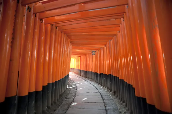 Portes rouges Torii Japon — Photo