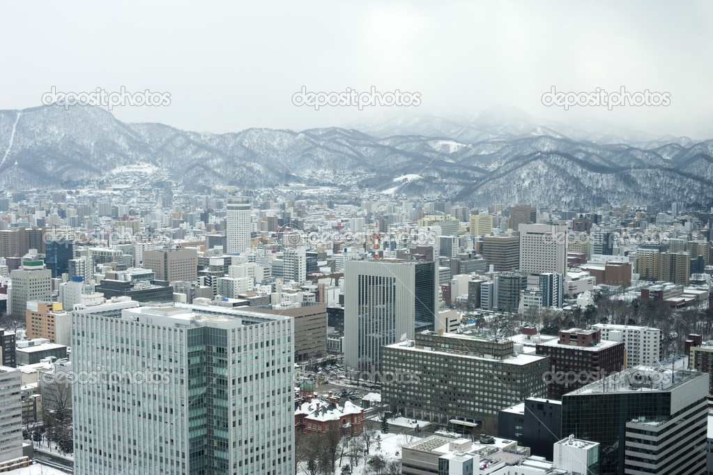 Sapporo in Winter