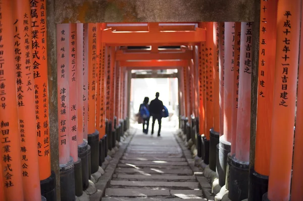 Torii Gate Tunnel — Stock Photo, Image