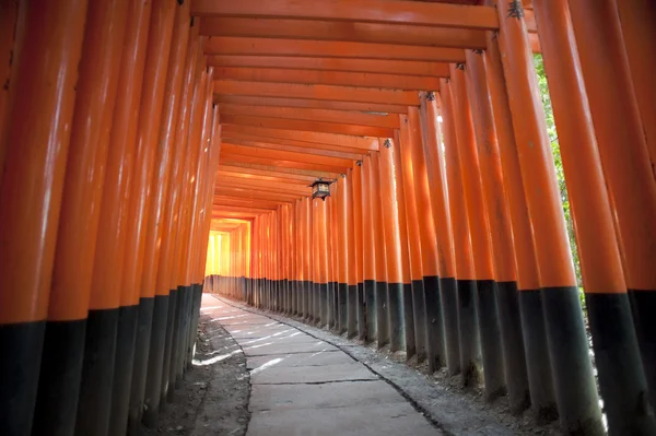 Tunnel de portes torii rouges — Photo