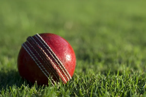 Pelota roja de cricket sobre hierba verde — Foto de Stock