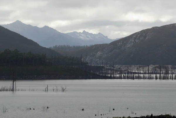 Lago Gordon, Tasmania — Foto de Stock