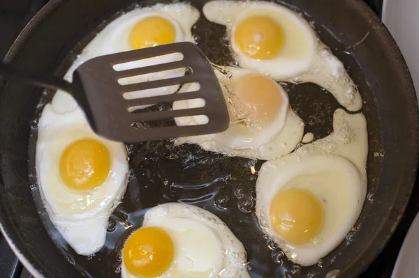 Cooking fried eggs — Stock Photo, Image