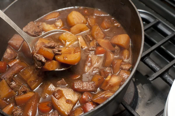 Köstlicher Rindfleisch-Eintopf im Topf — Stockfoto