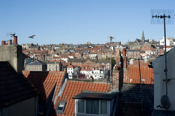 Blick über die Dächer einer Stadt — Stockfoto