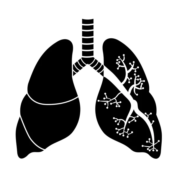 Akciğerler siyah beyaz — Stok Vektör