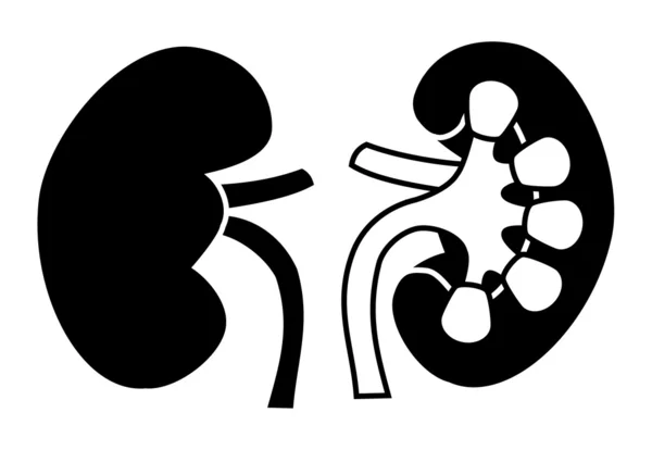 Kidney cartoon Vector Art Stock Images | Depositphotos Kidney cartoon Vector Art Stock Images | Depositphotos