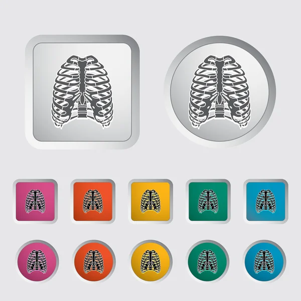 Pictogram van menselijke thorax. — Stockvector