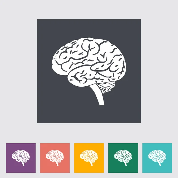 Brain. — Stock Vector