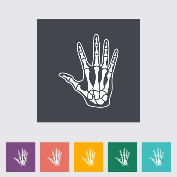 Anatomie hand — Stockvector