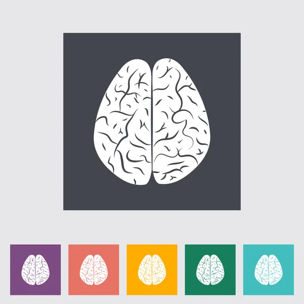 Brain. — Stock Vector