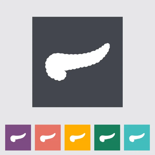 Pancreas flat icon. — Stock Vector