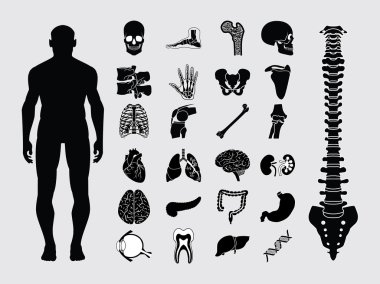 insan anatomisi simgeler
