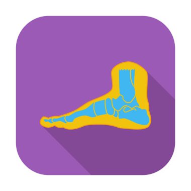 Foot anatomy icon. clipart