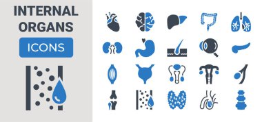 İç organları Icons Set