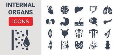 İç organları Icons Set