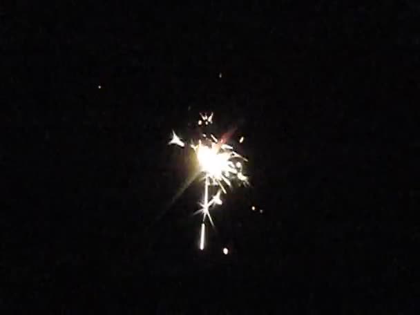 Bengalisches Feuerwerk — Stockvideo