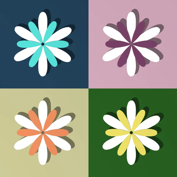 Marguerites de différentes couleurs — Photo