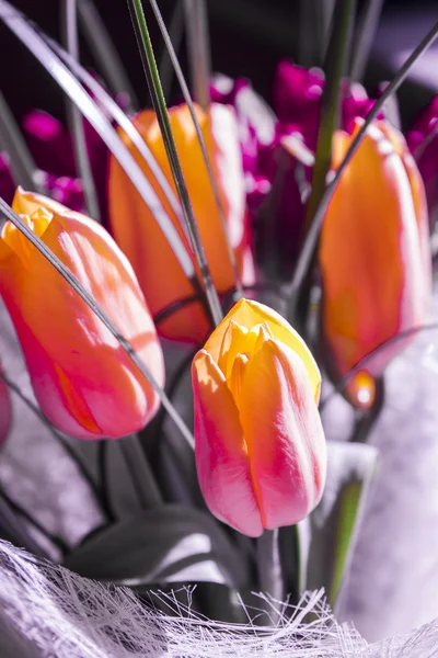 Сolorful tulips — Stock Photo, Image