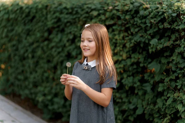 Girl Gray Dress Similar School Dress Holds Dandelion — Zdjęcie stockowe
