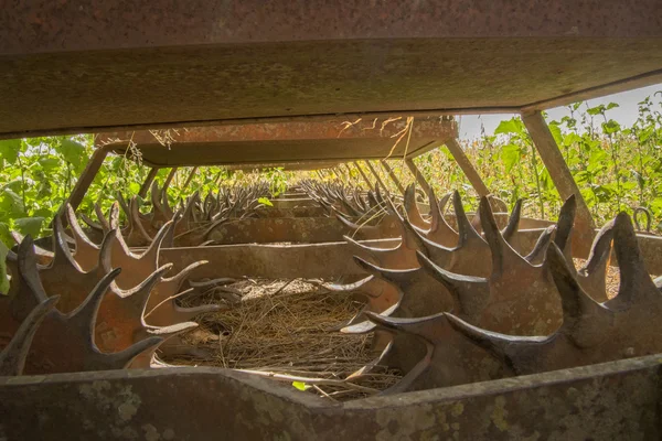 Old Plow — Stock Photo, Image