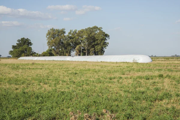 Tre väska silos — Stockfoto