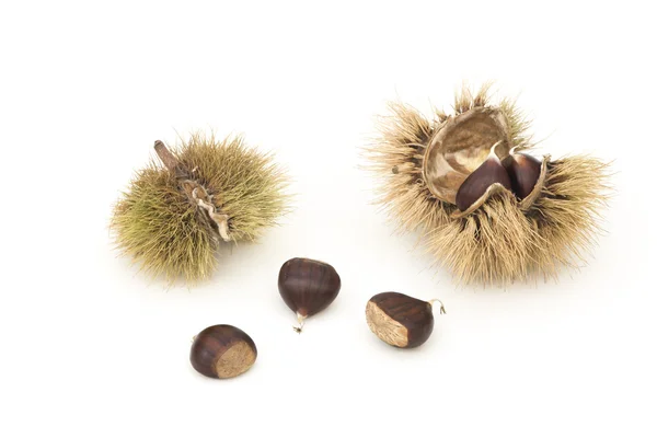 Chestnuts and Husks — Stock Photo, Image