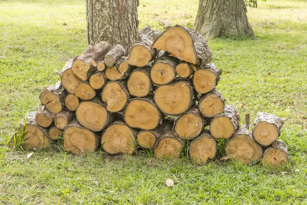 Drewno opałowe sosna Obrazy Stockowe bez tantiem