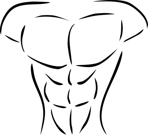 Cuerpo muscular — Vector de stock