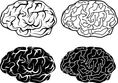 beyin ve elektronik beyin