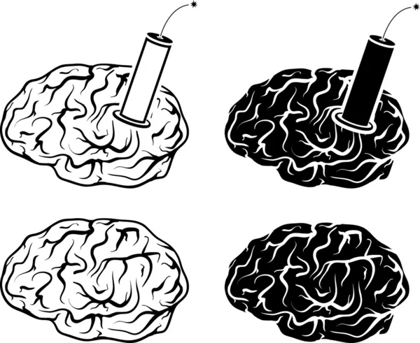 一整套的大脑和 tnt — 图库矢量图片