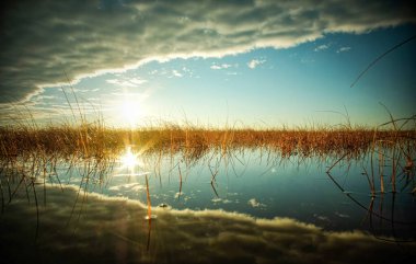 Estonya 'daki bataklık manzarası harika.
