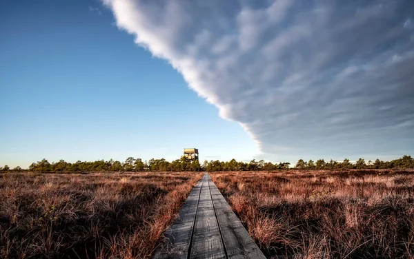 Grande Vista Pântano Estônia — Fotografia de Stock