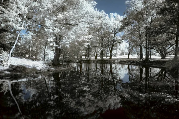 Infračervená Fotografie Jezera Stromů Břehu — Stock fotografie