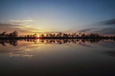 Estonya 'da bataklık gölünde muhteşem bir gün batımı