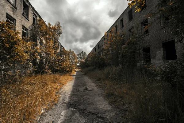 Post Apocalyptic Street View Abandoned City — Zdjęcie stockowe