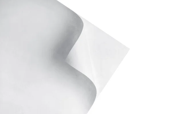 Papier z curl na białym tle — Zdjęcie stockowe