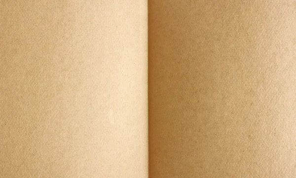 Páginas em branco de um livro muito antigo — Fotografia de Stock
