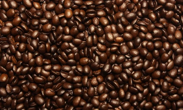 咖啡谷物 — 图库照片