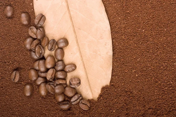 Kahve taneleri üzerinde yaprak, öğütülmüş kahve olmak arka plan olarak kullanma — Stok fotoğraf