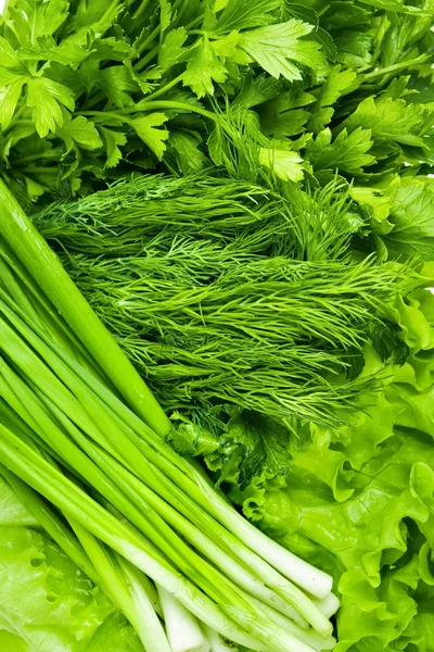 Frisches Gemüse. Fenchel, Petersilie, Zwiebel, Salat. — Stockfoto